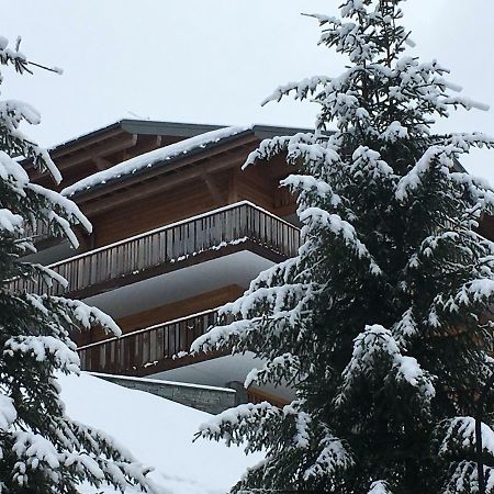 Les 4 Elements Aparthotel Châtel Buitenkant foto